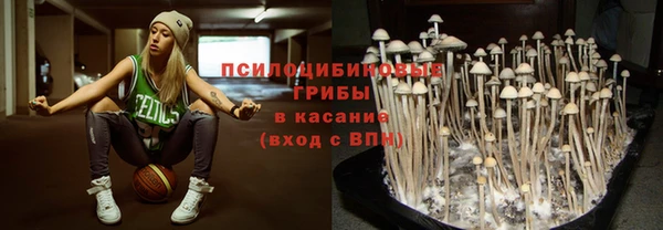spice Коряжма