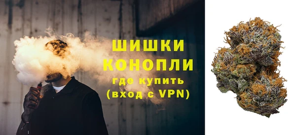 гашик Корсаков