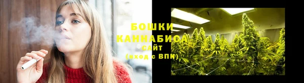 гашик Корсаков