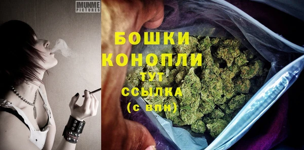гашик Корсаков