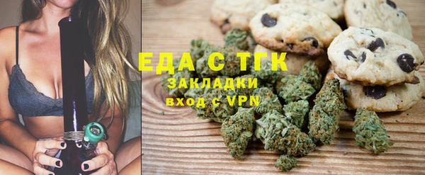 гашик Корсаков