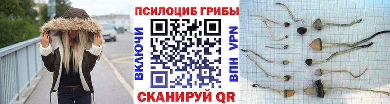 где купить наркотик  Называевск  Псилоцибиновые грибы ЛСД 